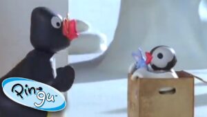 Pinga in a Box Prank! | Pingu Official | Cartoons for Kids - Kids (0-5), Kingdom Kids Zone - Pingu - Official Channel