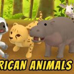 Witness21 Editor  2021 01 30