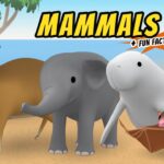 Witness21 Editor  2021 01 08