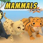 Witness21 Editor  2021 01 22