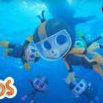 Finding Food In The Ocean | Adventure Learning | MarcoPolo World School | Learn At Home - Kingdom Kids Zone, Little Learners - The Polos and MarcoPolo Learning