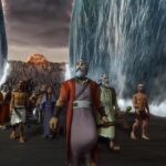 Witness21 Editor  2021 02 12