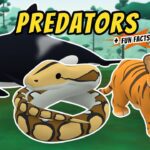 Witness21 Editor  2021 02 25