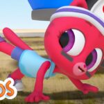 Lily The Coach | Adventure Learning | MarcoPolo World School | Learn At Home - Kingdom Kids Zone, Little Learners - The Polos and MarcoPolo Learning