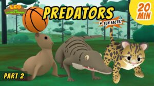 Witness21 Editor  2021 02 19