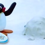 Pingu and Snowman Disaster! | Pingu Official | 1 Hour | Cartoons for Kids - Kids (0-4), Kingdom Kids Zone - Pingu - Official Channel