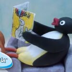 Crazy Day at Pingu's House! | Pingu Official | Cartoons for Kids - Kids (0-4), Kingdom Kids Zone - Pingu - Official Channel