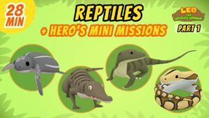 Witness21 Editor  2021 03 04