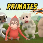 Witness21 Editor  2021 03 06