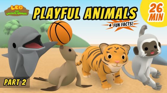 Witness21 Editor  2021 03 18