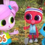 What is in the Forest? | The Polos | Adventure Learning | Learn At Home - Kingdom Kids Zone, Little Learners - The Polos and MarcoPolo Learning