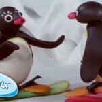 Pingu Learns How to Snowboard! | Pingu Official | Cartoons for Kids - Kids (0-4), Kingdom Kids Zone - Pingu - Official Channel