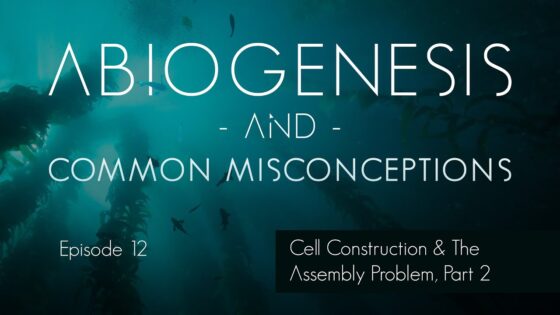 Episode 12.1/13: Cell Construction & Assembly Problem // A Course on Abiogenesis by Dr. James Tour - Science & Faith, Truth Seekers - Dr. James Tour