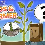 Witness21  2021 03 01