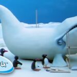 Pingu and the Giant Ice Whale! | Pingu Official | 1 Hour | Cartoons for Kids - Kids (0-4), Kingdom Kids Zone - Pingu - Official Channel