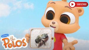 Who Needs a Web | Adventure Learning | MarcoPolo World School | Learn At Home - Kingdom Kids Zone, Little Learners - The Polos and MarcoPolo Learning