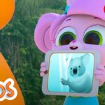 What's That Flying Around? | The Polos | Adventure Learning | Learn At Home - Kingdom Kids Zone, Little Learners - The Polos and MarcoPolo Learning