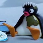 Stinky Pingu | Pingu Official | Cartoons for Kids - Kids (0-4), Kingdom Kids Zone - Pingu - Official Channel