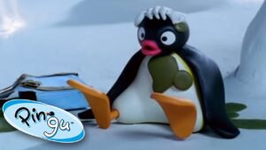Stinky Pingu | Pingu Official | Cartoons for Kids - Kids (0-5), Kingdom Kids Zone - Pingu - Official Channel