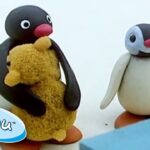 Pingu Wins at the Fair! | Pingu Official | Cartoons for Kids - Kids (0-4), Kingdom Kids Zone - Pingu - Official Channel