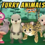 Witness21 Editor  2021 04 22