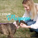 Witness21 Editor  2021 04 28