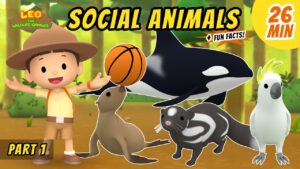 Witness21 Editor  2021 04 29