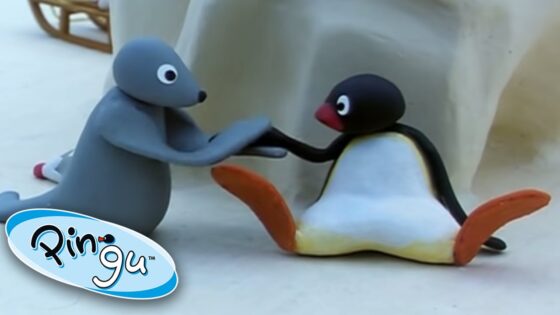 Pingu hurts his Wings! 😨 | Pingu Official | 1 Hour | Cartoons for Kids - Kids (0-5), Kingdom Kids Zone - Pingu - Official Channel