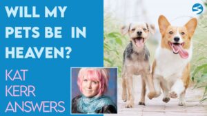Kat Kerr: Do My Pets Go to Heaven? | Feb 12 2021 - Encounters, Heaven Trip, Testimonies - ElijahClips