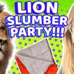 Witness21  2021 05 14