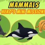 Witness21 Editor  2021 05 15