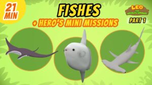 Witness21 Editor  2021 05 22