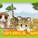 Witness21 Editor  2021 05 27