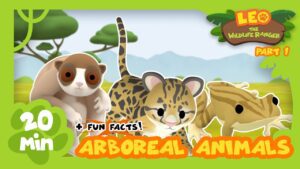 Witness21 Editor  2021 05 27