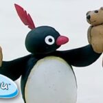 Pingu Breaks Teddy! | Pingu Official | Cartoons for Kids - Kids (0-4), Kingdom Kids Zone - Pingu - Official Channel