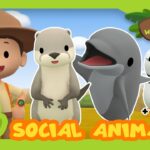 Witness21 Editor  2021 05 20