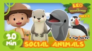 Witness21 Editor  2021 05 20