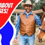 Thumbnail of a smiling cowboy in a leather vest beside a horse, with bold red text 'Learn About Horses!' and a cartoon 'Cowboy Jack' logo.