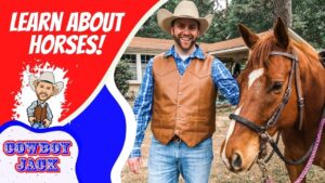 Thumbnail of a smiling cowboy in a leather vest beside a horse, with bold red text 'Learn About Horses!' and a cartoon 'Cowboy Jack' logo.