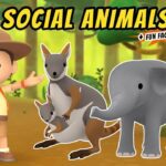 Witness21 Editor  2021 05 13