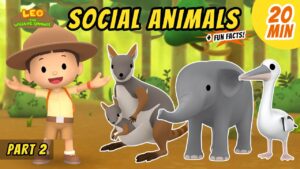 Witness21 Editor  2021 05 13