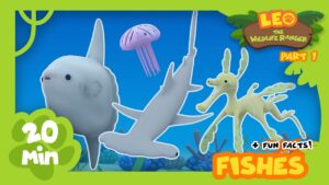 Witness21 Editor  2021 06 17