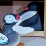 Pingu Plays Hide And Seek! | Pingu Official | 1 Hour | Cartoons for Kids - Kids (0-5), Kingdom Kids Zone - Pingu - Official Channel