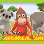 Witness21 Editor  2021 06 03