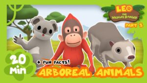 Witness21 Editor  2021 06 03