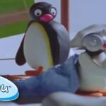 Pinga goes Sleep Walking! 😴 | Pingu Official | Cartoons for Kids - Kids (0-4), Kingdom Kids Zone - Pingu - Official Channel