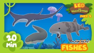 Witness21 Editor  2021 06 24