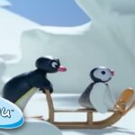 Pingu Goes Sleighing! 🛷 ❄️ @Pingu | Cartoons for Kids - Kids (0-4), Kingdom Kids Zone - Pingu - Official Channel