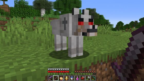 If You See This Minecraft Dog… RUN! #Shorts - Gameplay, Kingdom Kids Zone, Minecraft - EYstreem