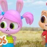 Discovering new birds | The Polos | Adventure Learning | Learn At Home - Kingdom Kids Zone, Little Learners - The Polos and MarcoPolo Learning
